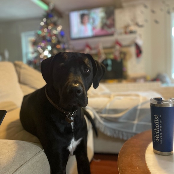 Meet your Posher, Katie - Picture 4 of 4